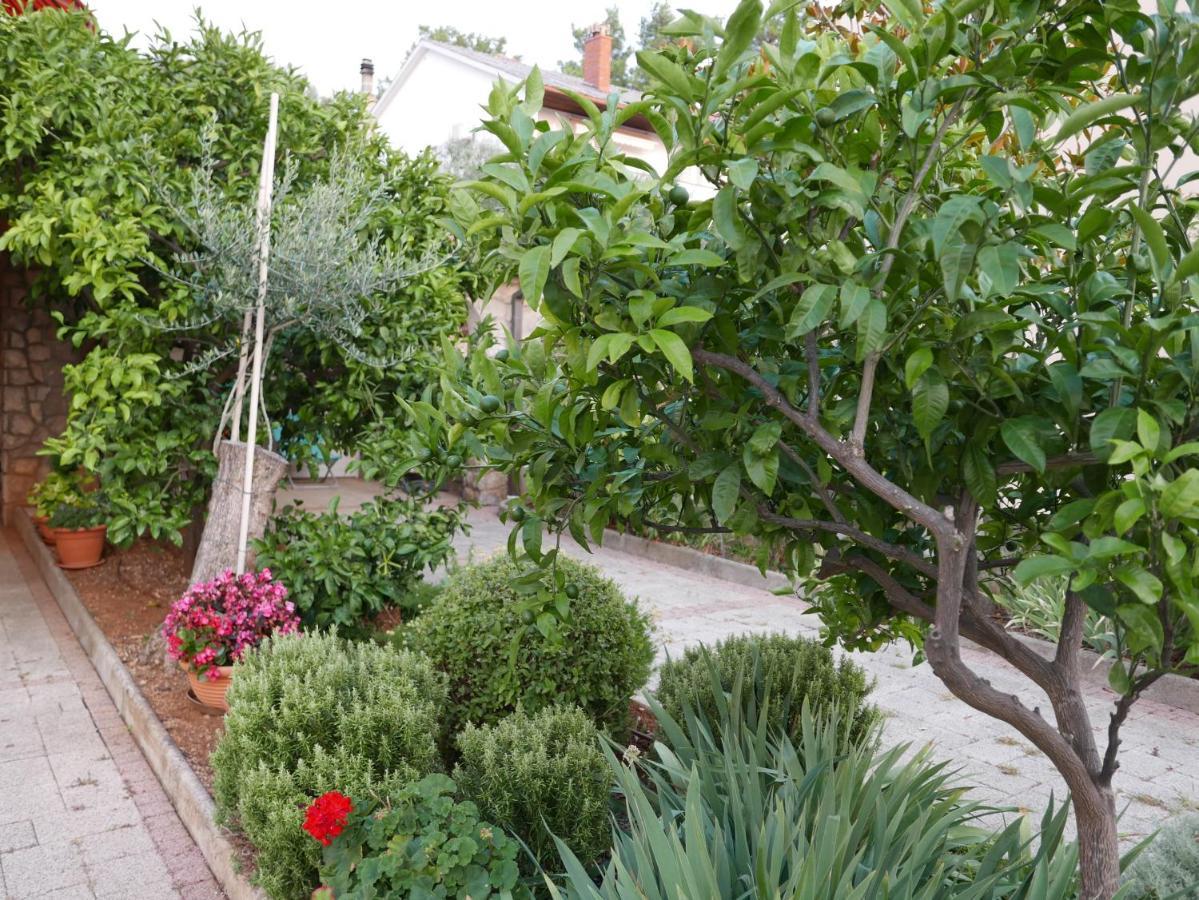 Ruza Appartement